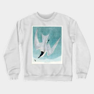 Marsh Tern from Birds of America (1827) Crewneck Sweatshirt